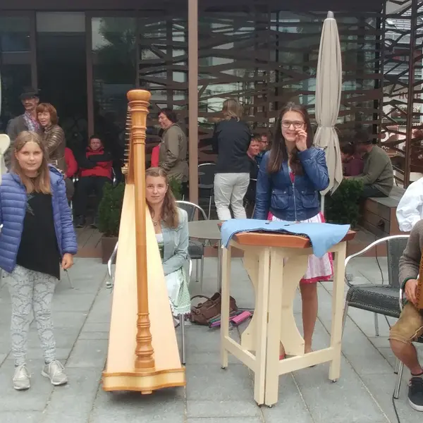 Kranzlsingen 2016 (2)